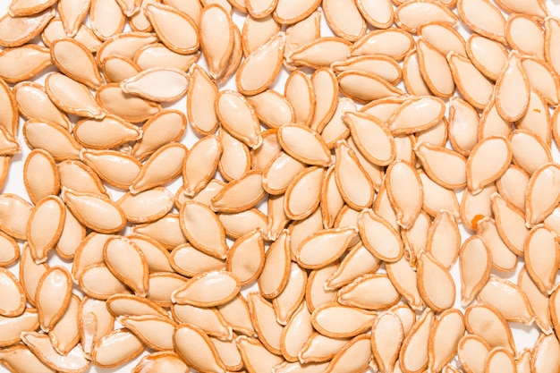 Big orange pumpkin seeds