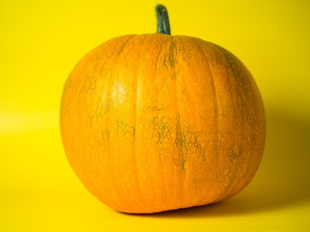 Big orange pumpkin on a yellow background autumn concept