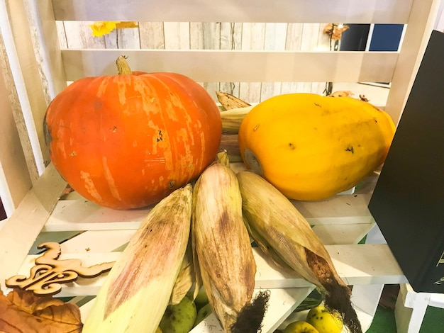 Big orange yellow pumpkin zucchini and green corn in a wooden white box