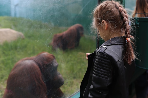 world's largest land animal familiarly
