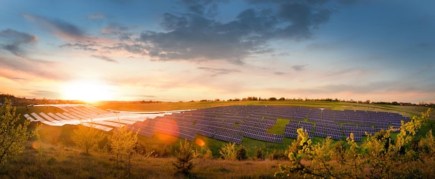 Big panoramic view of solar panels field at sunset glare bokeh at evening sky alternative energy concept