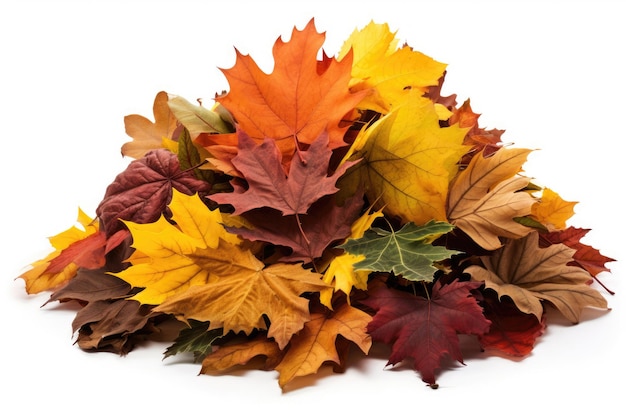 Большая куча красочных осенних листьев на белом фоне