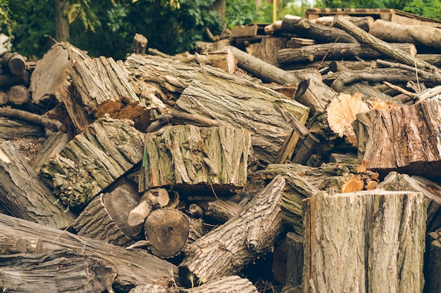 Big pile of felled logs and stumps is outdoors