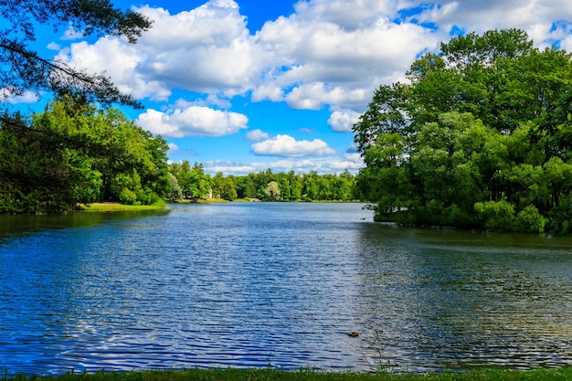 プーシキンロシアのTsarskoyeSeloにあるCatherine公園の大きな池