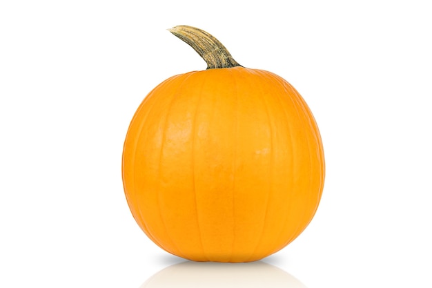 Big pumpkin for Halloween isolated on white background