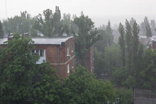 家に大雨が降っている