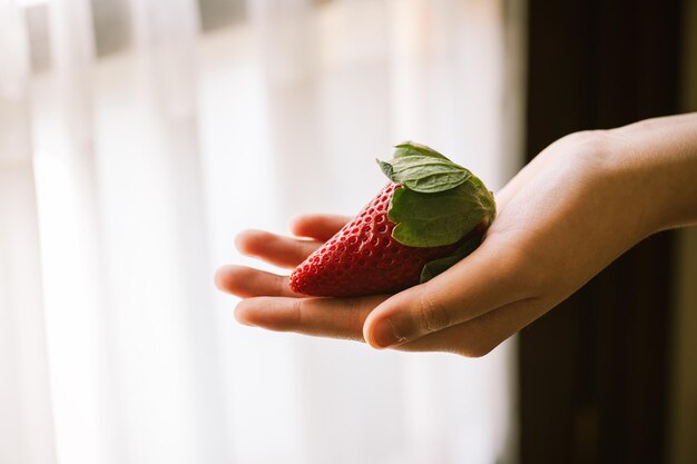 Foto grande fragola rossa in una mano copia spazio