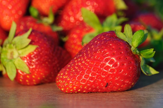 Big ripe red strawberries close up