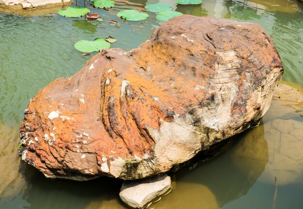 Big rock in Chinese garden