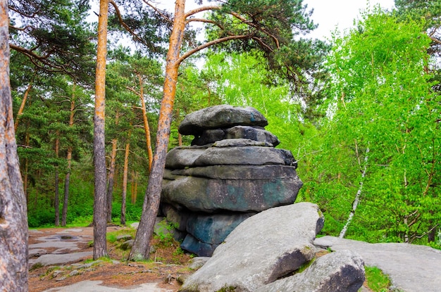 Большие камни в лесу в летний день. Горные породы .