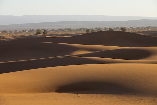 Big sand dunes in Sahara desert