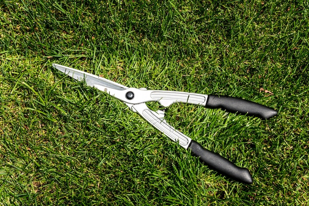 Photo big scissors on green grass.