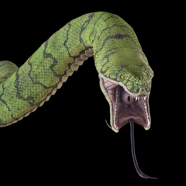 Premium Photo  A giant predatory snake. 3d illustrations