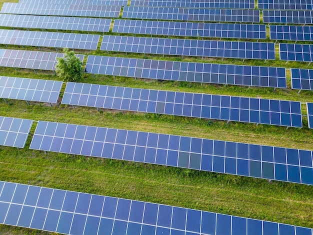 緑の牧草地の空撮にある大きな太陽光発電所