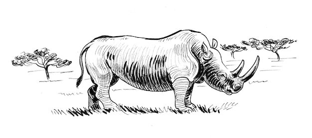 Big standing rhino. Ink black and white drawing