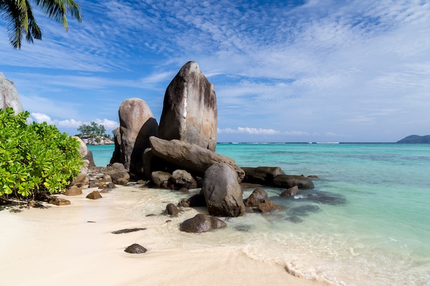 Big stones on the beach with a lot of green plants