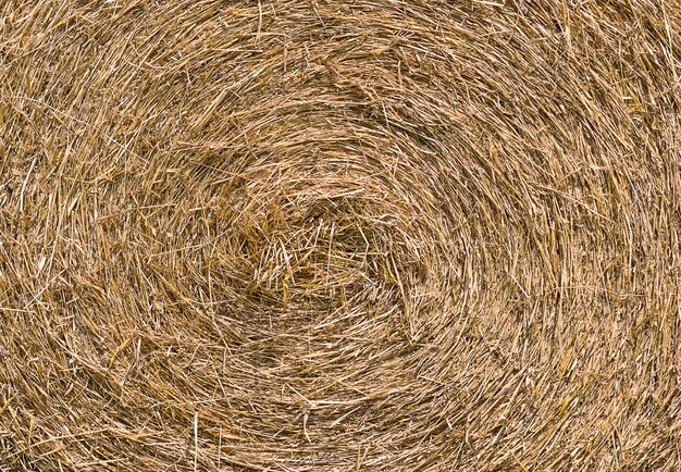 Big straw roll in farm