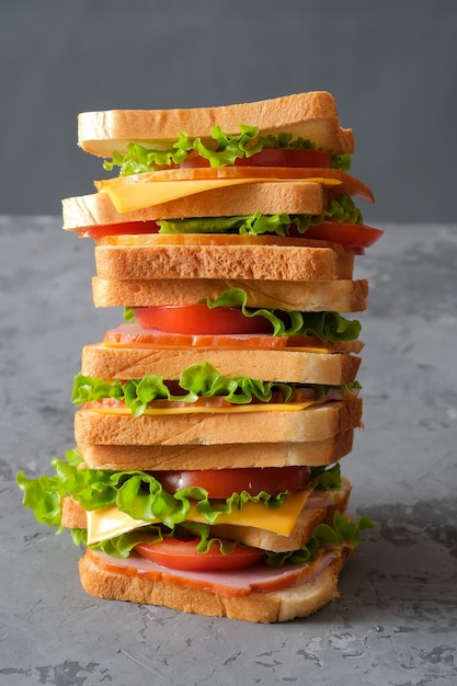 Big tasty sandwich on gray background vertical