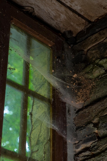 古い窓に大きく厚いクモの巣