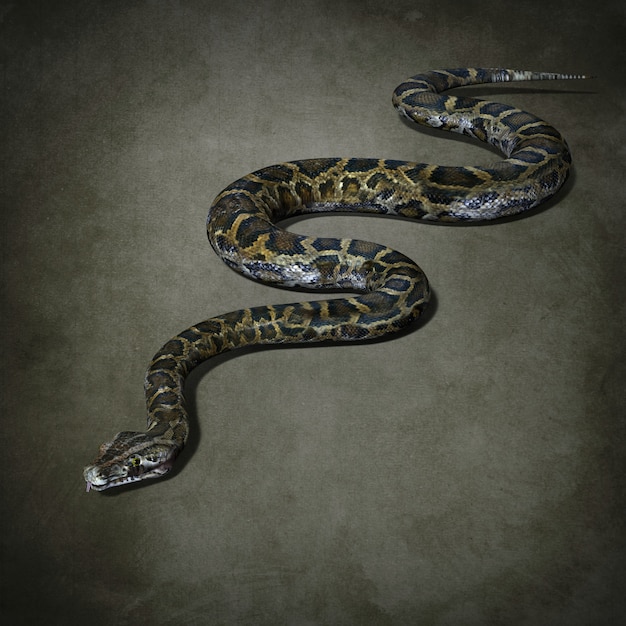 Big toothy Python. 3d illustration