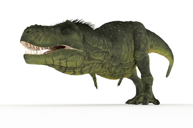 Big tyrannosaurus set of angles 3D illustration