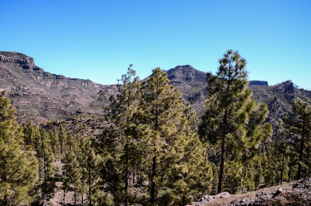 Big Valley in Gran Canaria, Canary Islands, Spain