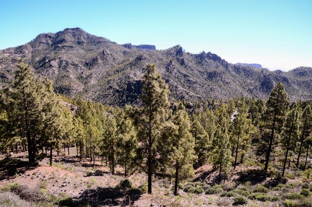 Big Valley in Gran Canaria, Canary Islands, Spain