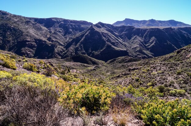 Photo big valley in gran canaria, canary islands, spain