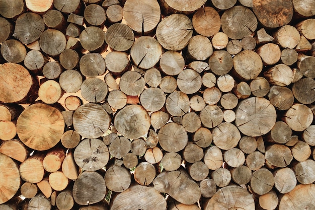 Big wall of stacked wood logs showing natural discoloration background