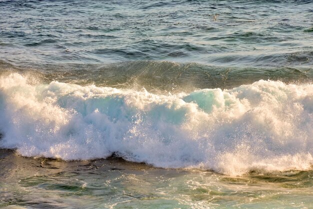 BIg Wave in the Ocean