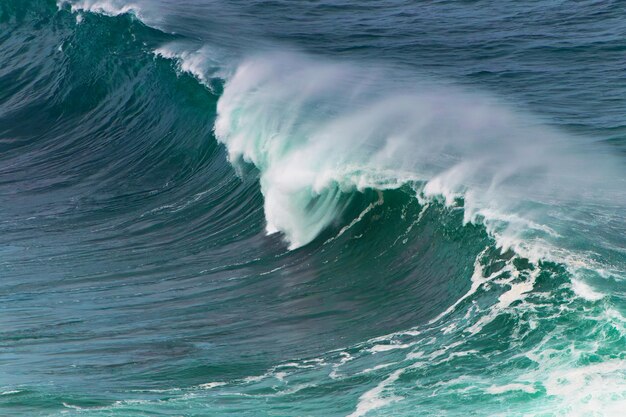 Foto l'onda grande.