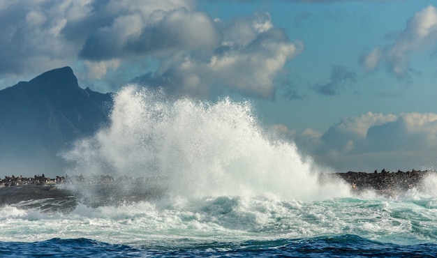 Big waves break on the rocks in the sea against the backdrop of the coastline.