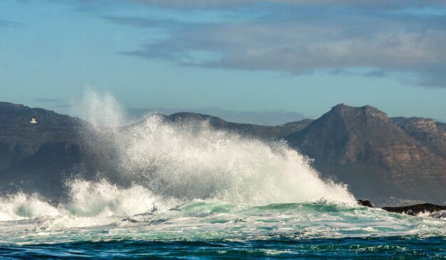 Big waves break on the rocks in the sea against the backdrop of the coastline.