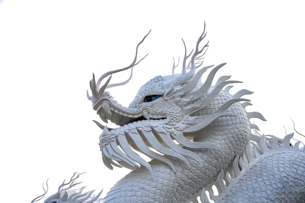 Photo big white dragon statue on white background