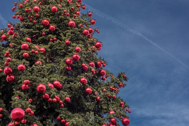 Big xmas tree on blue sky background