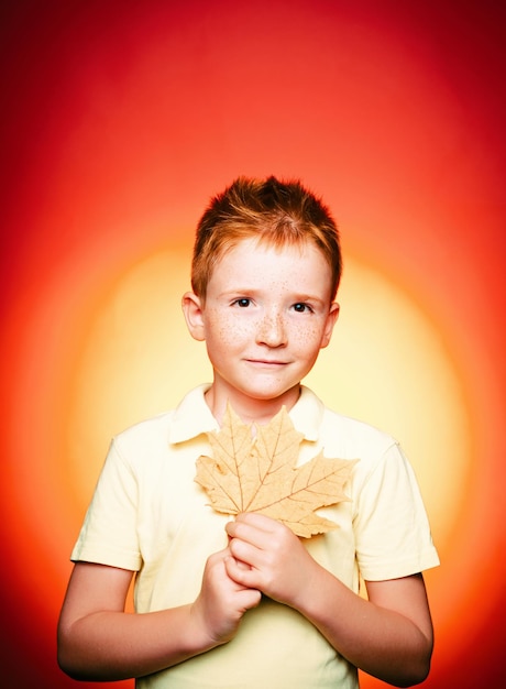 The biggest discounts for all autumn clothes for children Cute boy are preparing for autumn sunny day Autumn concept Boy in seasonal clothes with golden leaf Closeup portrait