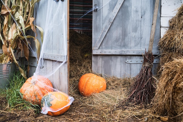 大きな小さなオレンジ色の緑のカボチャ ハロウィン スパイダーウェブ ウィザード ハット ジャコランタン怖い彫刻が施された目口干し草納屋のスタック通りの装飾子供ホラーのエンターテイメント