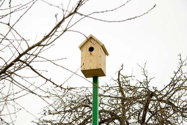 Bij de bomen is een nieuw vogelhuisje op een groene paal geplaatst. Vogelhuisje