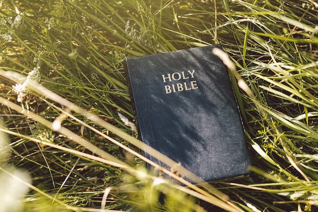 Bijbel in groen gras. de bijbel lezen. concept voor geloof, spiritualiteit en religie