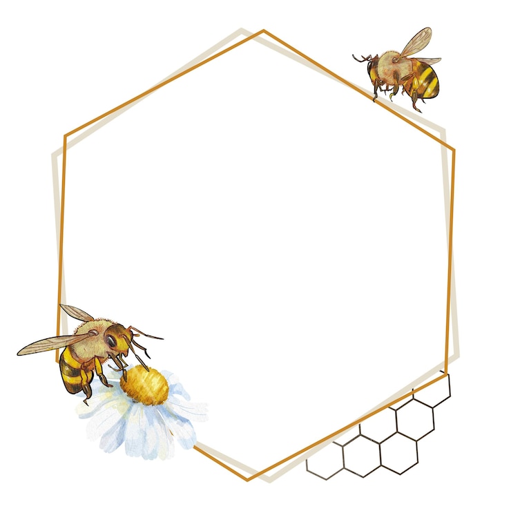 Foto bijen zeshoekig frame png doorzichtige achtergrond