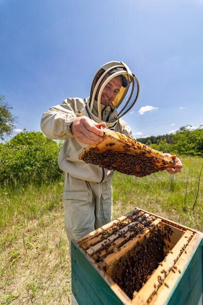 Bijenkorf landarbeider Bijenteeltspecialist met houten frame