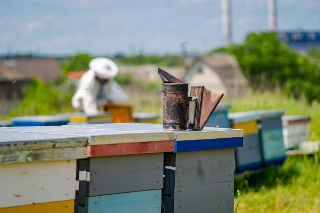 Bijenkorven in een bijenstal met bijen die naar de landingsplanken vliegen. Bijenteelt. Bijenroker op bijenkorf. Imker op onscherpe achtergrond.