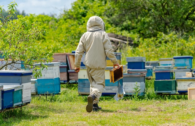 Bijenteelt natuurlijke zomer houten honingraten Buiten oogsten bijenwas