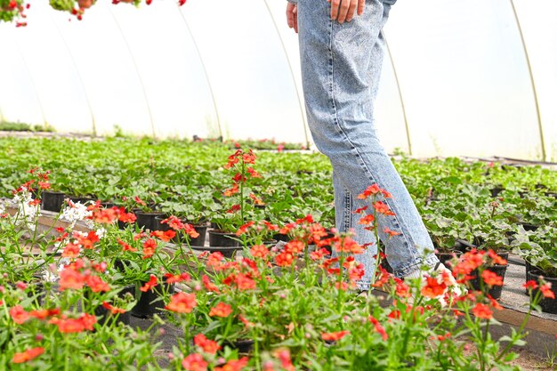 Bijgesneden beeld van vrouw winkelen in bloemenkwekerij bloemen kopen bij een kwekerij