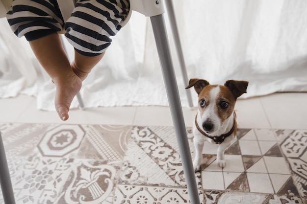 Bijgesneden opname van pasgeboren in kinderstoel en schattige hond die hieronder op de vloer zit.