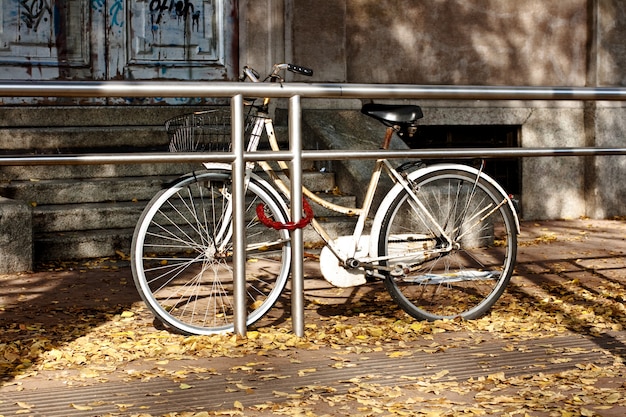 Photo bike in autumn
