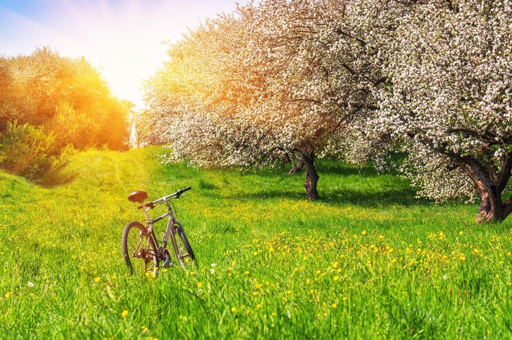 Photo bike bicycle in a blossoming apple garden