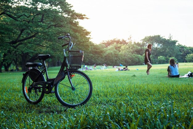 Bike and girl in park.