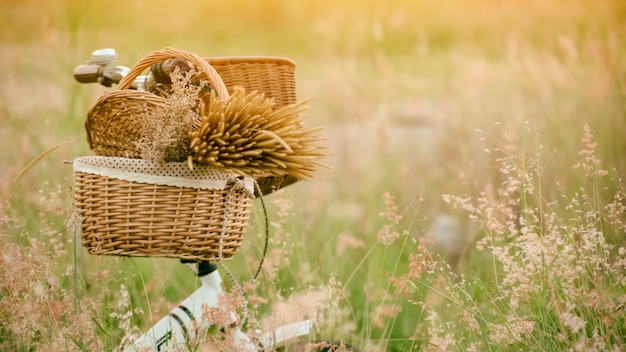 La bici nel prato dorato nel pomeriggio dell'estate