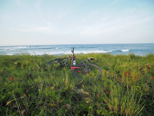 The bike is lying by the ocean on the green grass.